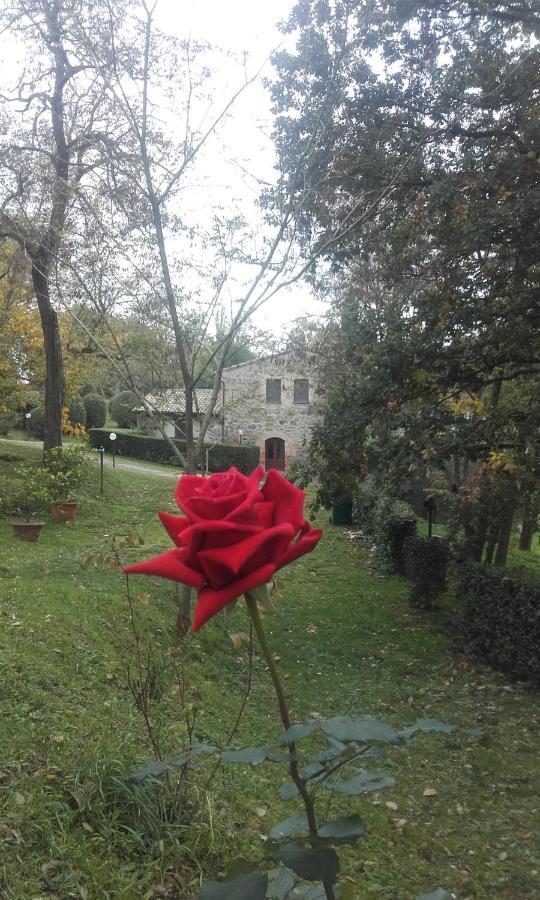 Agriturismo Il Cornalino Castel Viscardo Exteriör bild