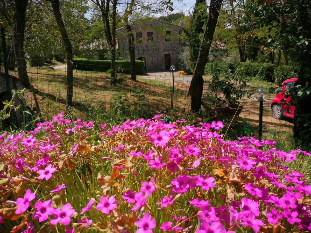 Agriturismo Il Cornalino Castel Viscardo Exteriör bild