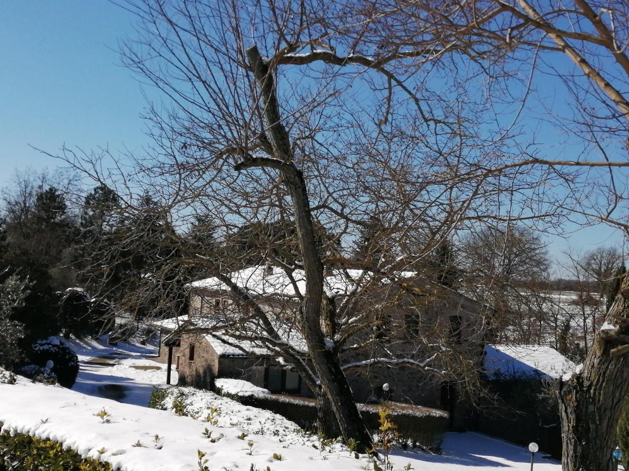 Agriturismo Il Cornalino Castel Viscardo Exteriör bild