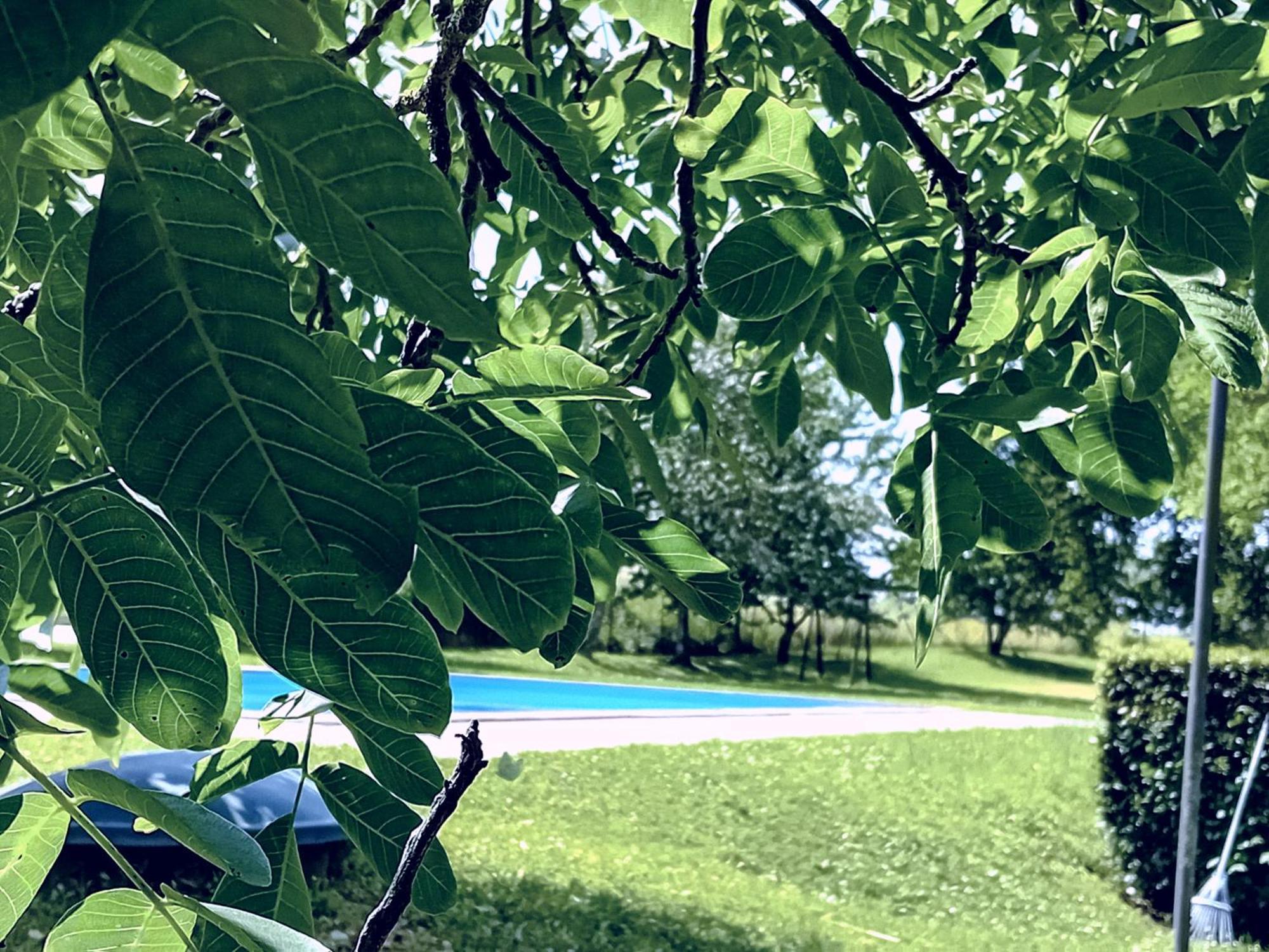 Agriturismo Il Cornalino Castel Viscardo Exteriör bild