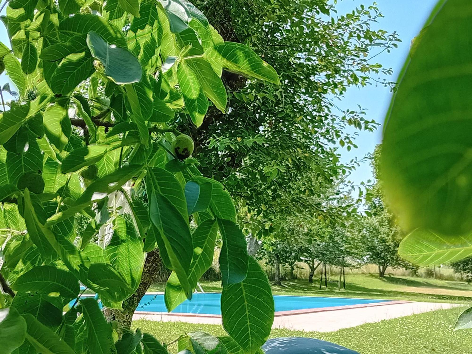 Agriturismo Il Cornalino Castel Viscardo Exteriör bild