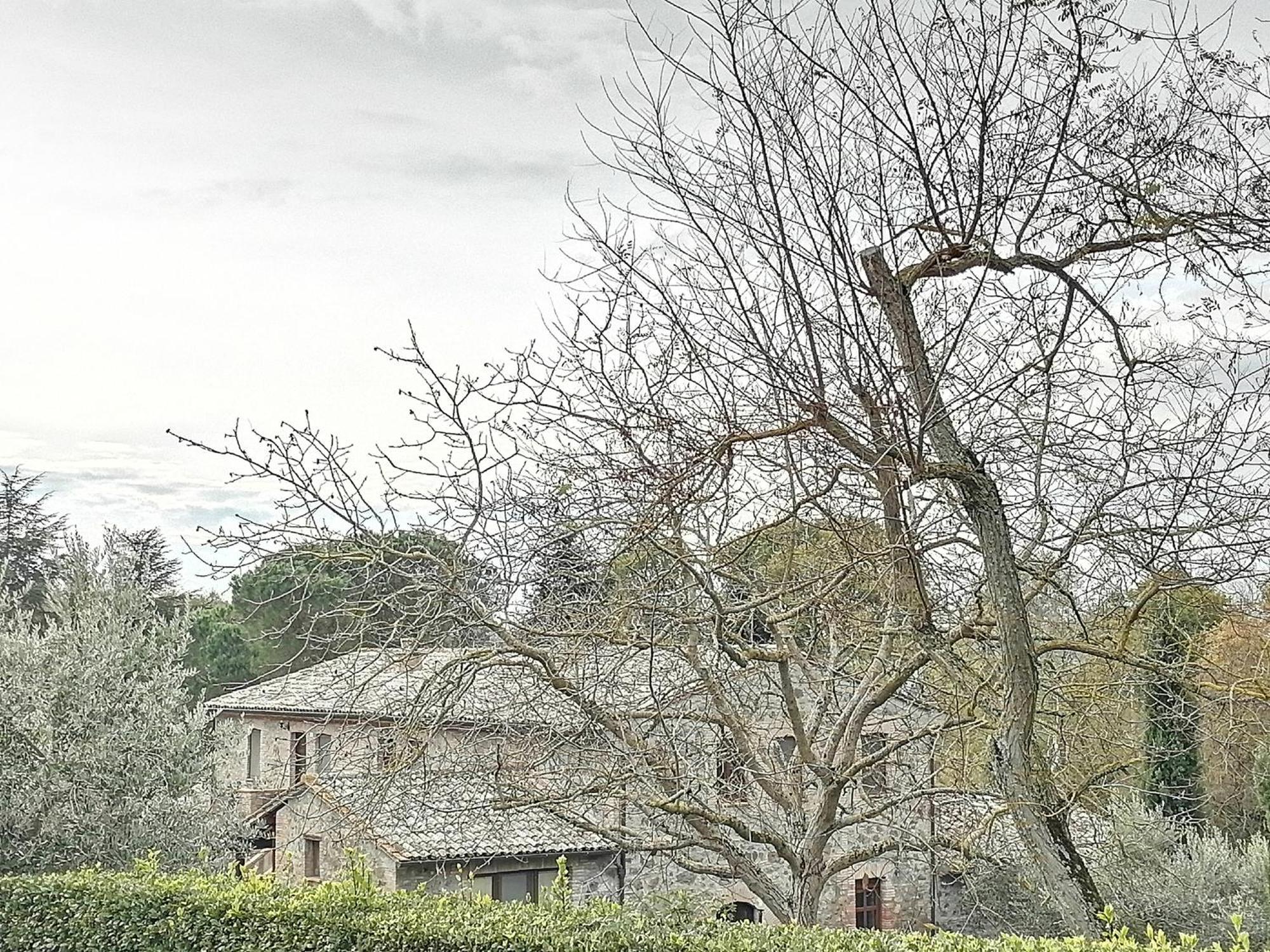 Agriturismo Il Cornalino Castel Viscardo Exteriör bild