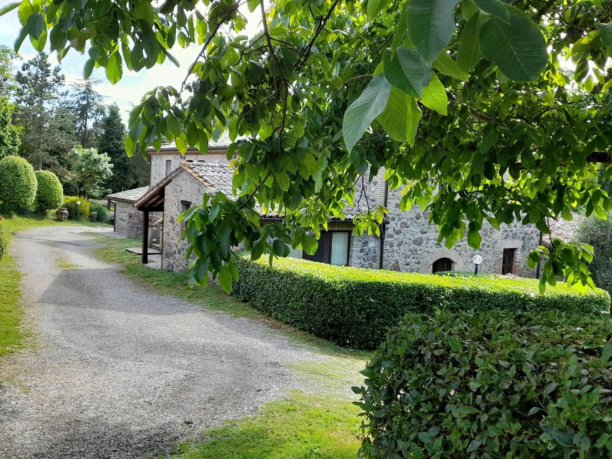 Agriturismo Il Cornalino Castel Viscardo Exteriör bild