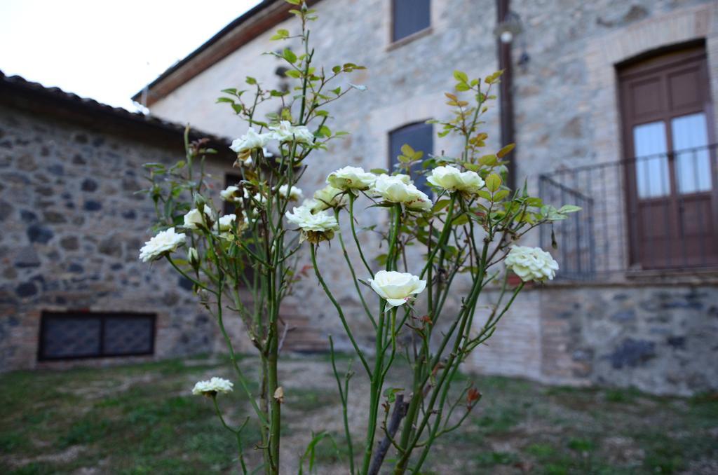 Agriturismo Il Cornalino Castel Viscardo Exteriör bild
