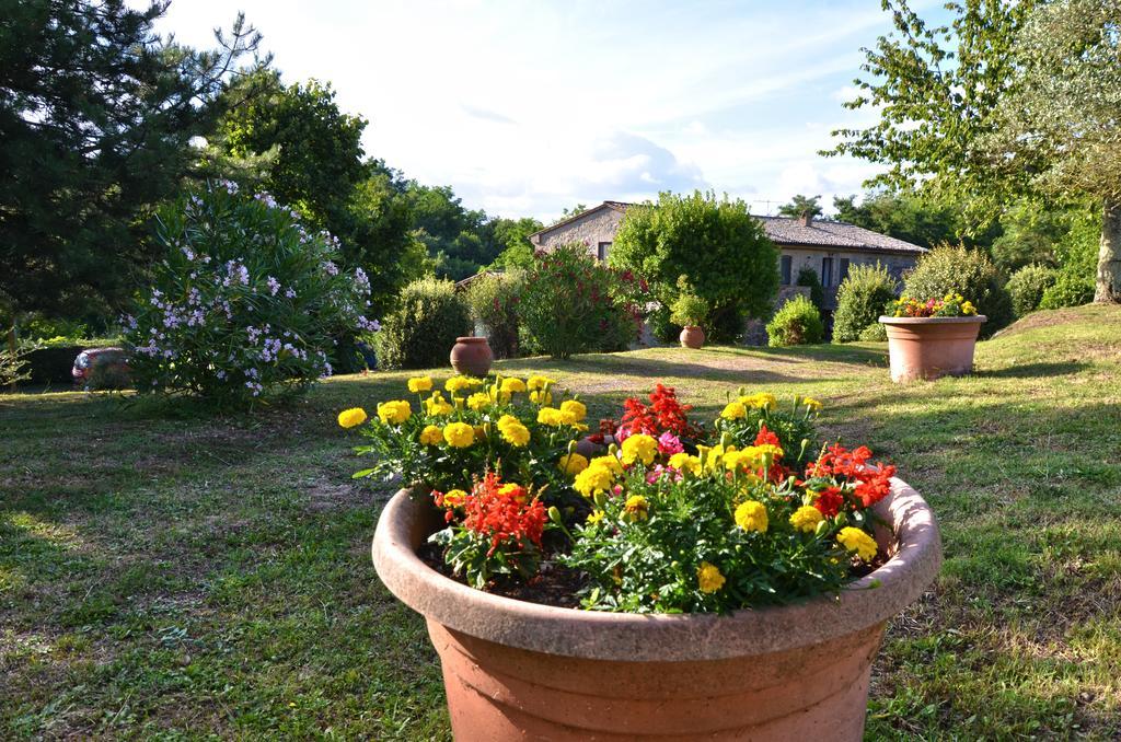 Agriturismo Il Cornalino Castel Viscardo Exteriör bild